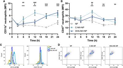 Docosahexaenoic Acid Modulates NK Cell Effects on Neutrophils and Their Crosstalk